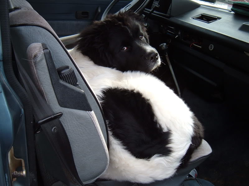 Name:  DSCF4045.jpg
Views: 168
Size:  72.6 KB