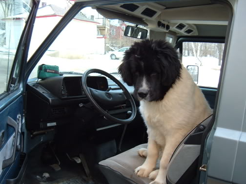 Name:  DSCF4038.jpg
Views: 138
Size:  36.1 KB